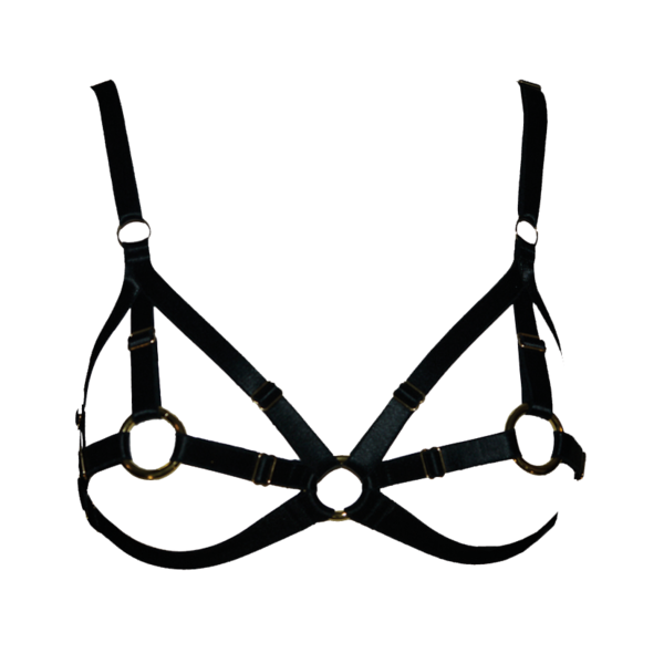 Nipple-ring-braFront-trans_view.png