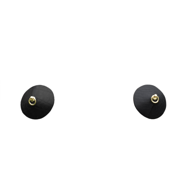 pasties1_view.png
