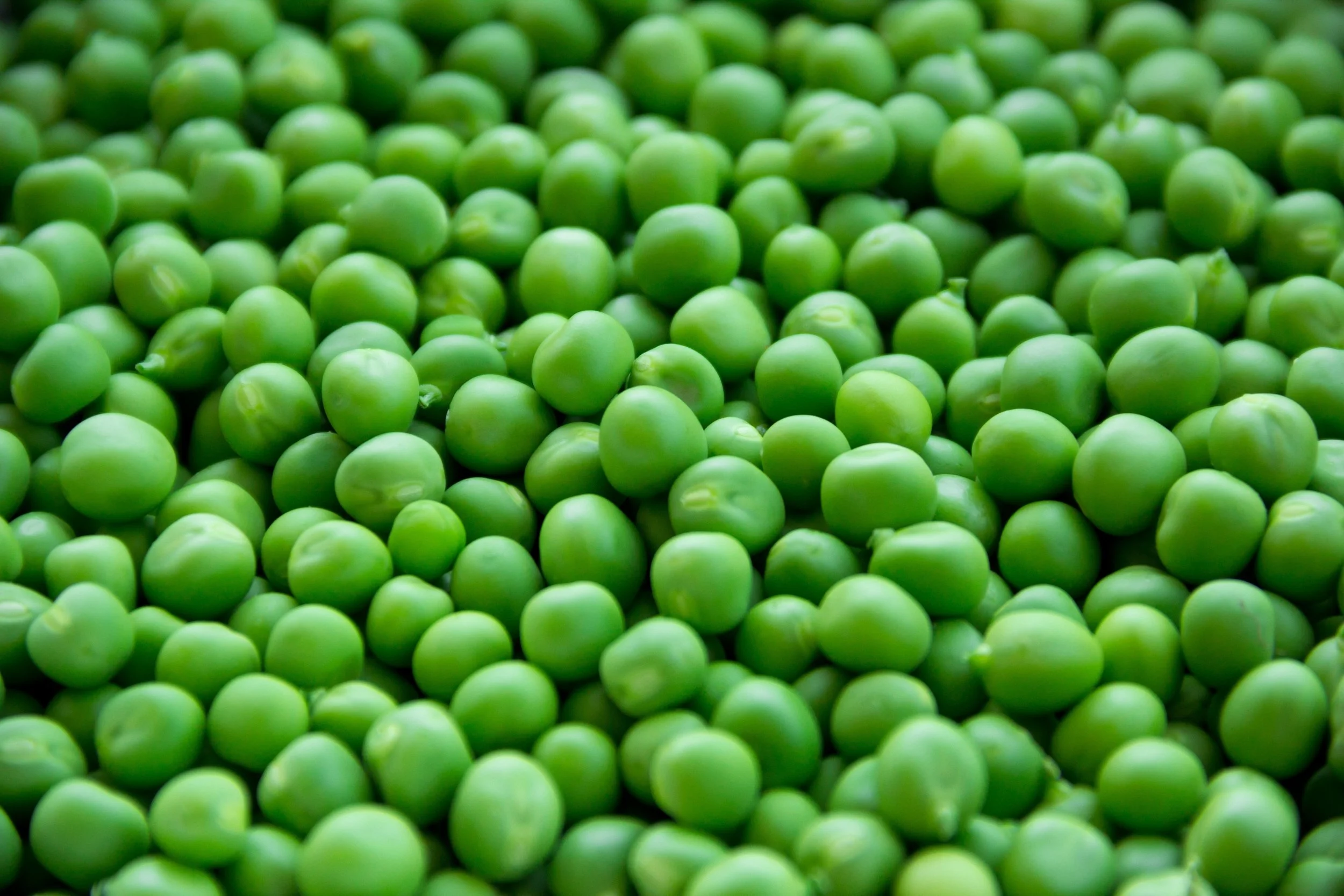 agriculture-background-close-up-255469.jpg