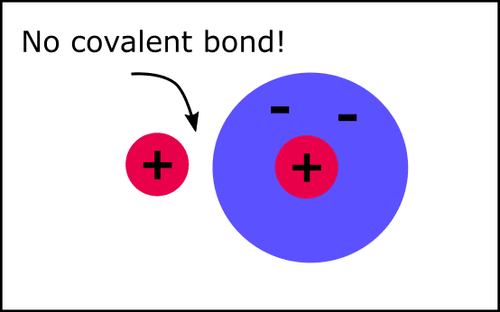 Colar Charge Polar and Charged Molecules — Online A level Biology Tutor