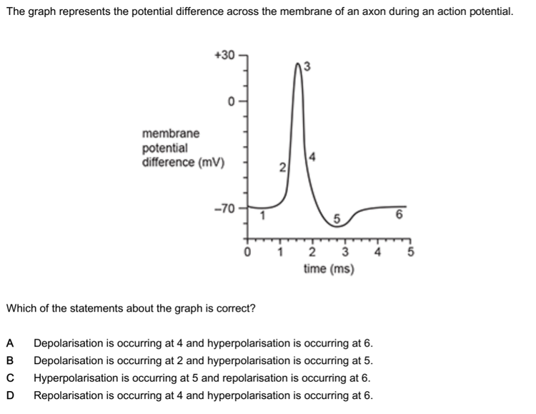 Mastering Resting Potential, Action Potential and Propagation: Common ...