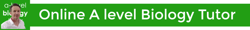 Online A level Biology Tutor
