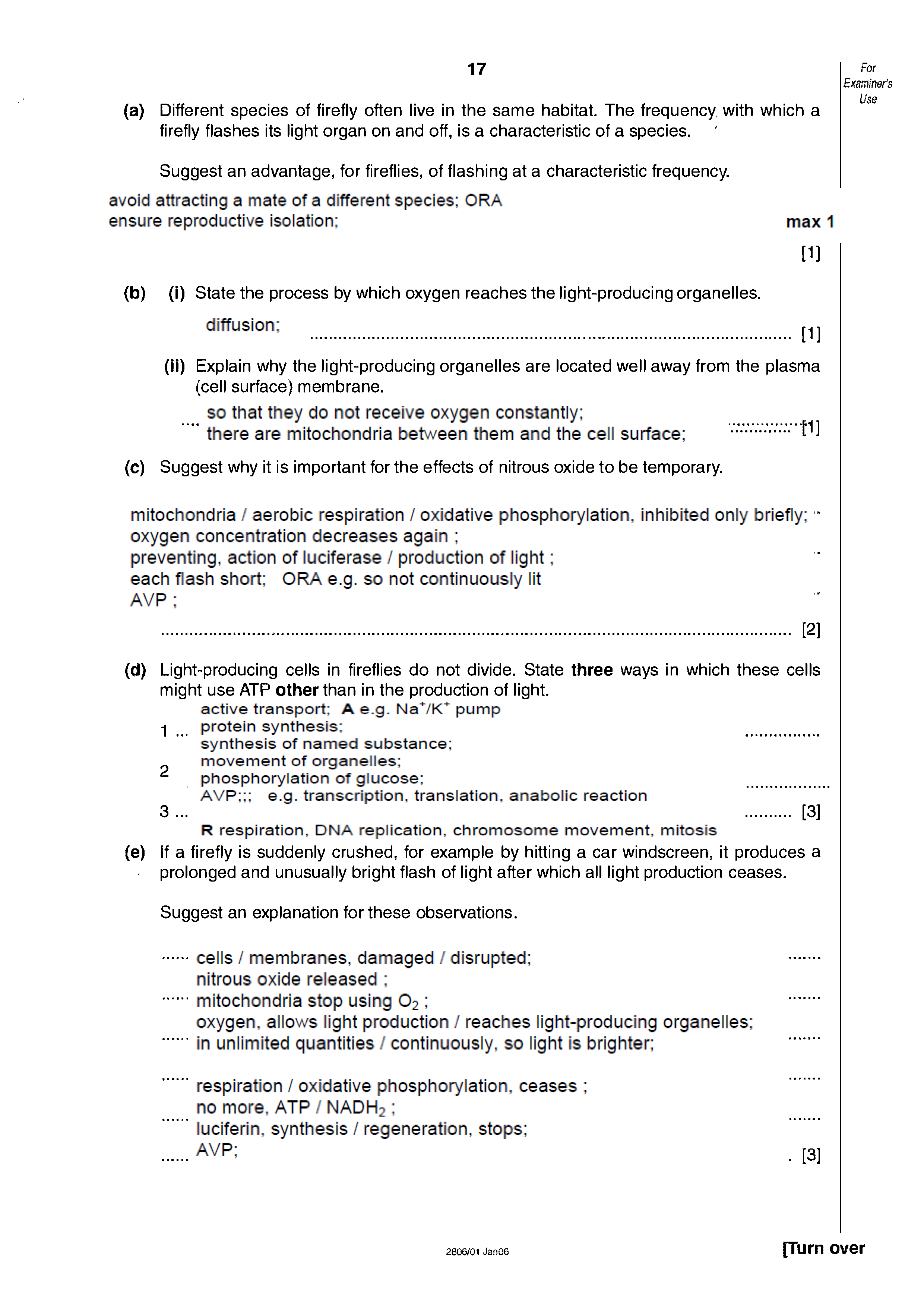 firefly2_Page_2.png