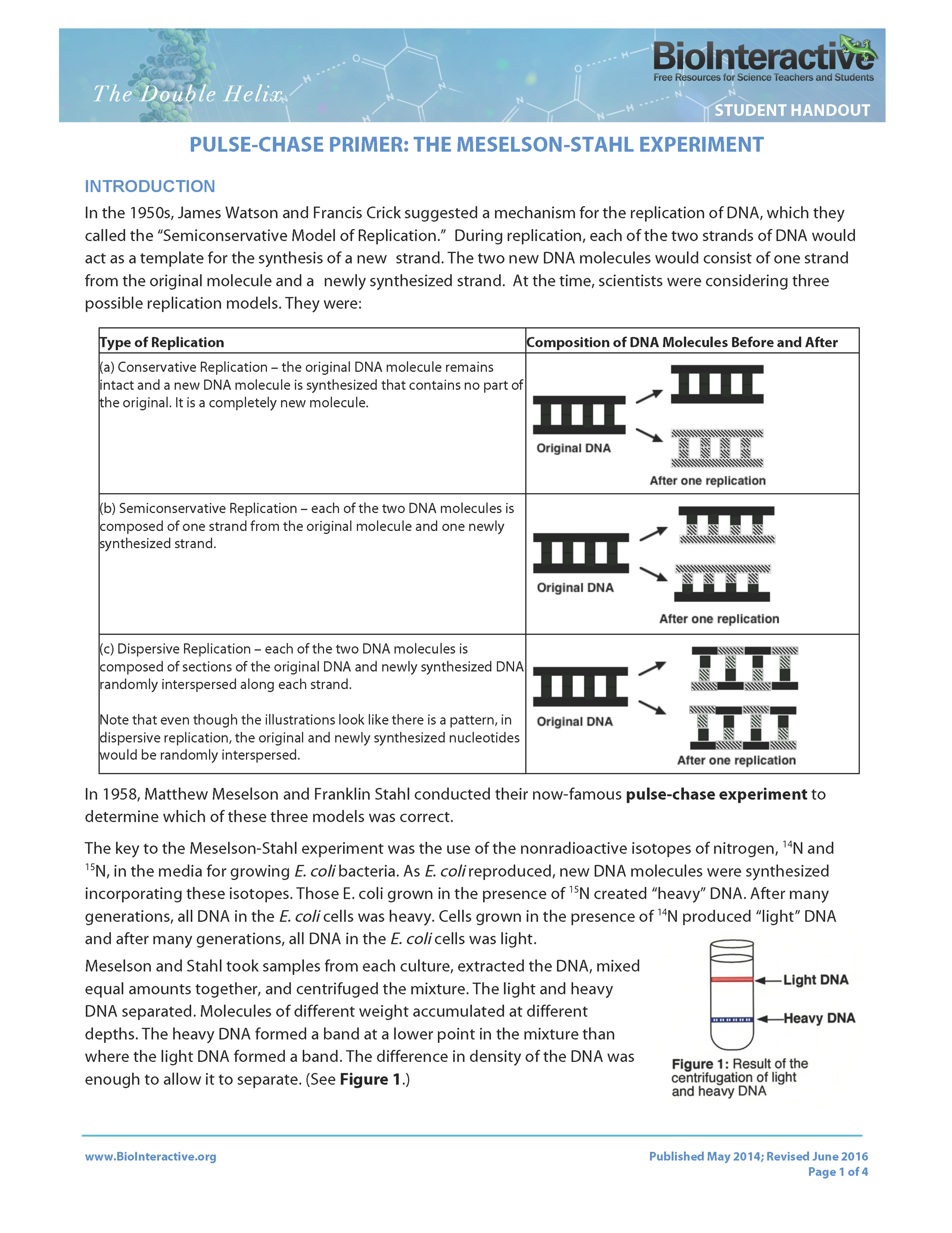 Understanding "Meselson and Stahl" with an Excellent resource from #HHMI - A-level Biology