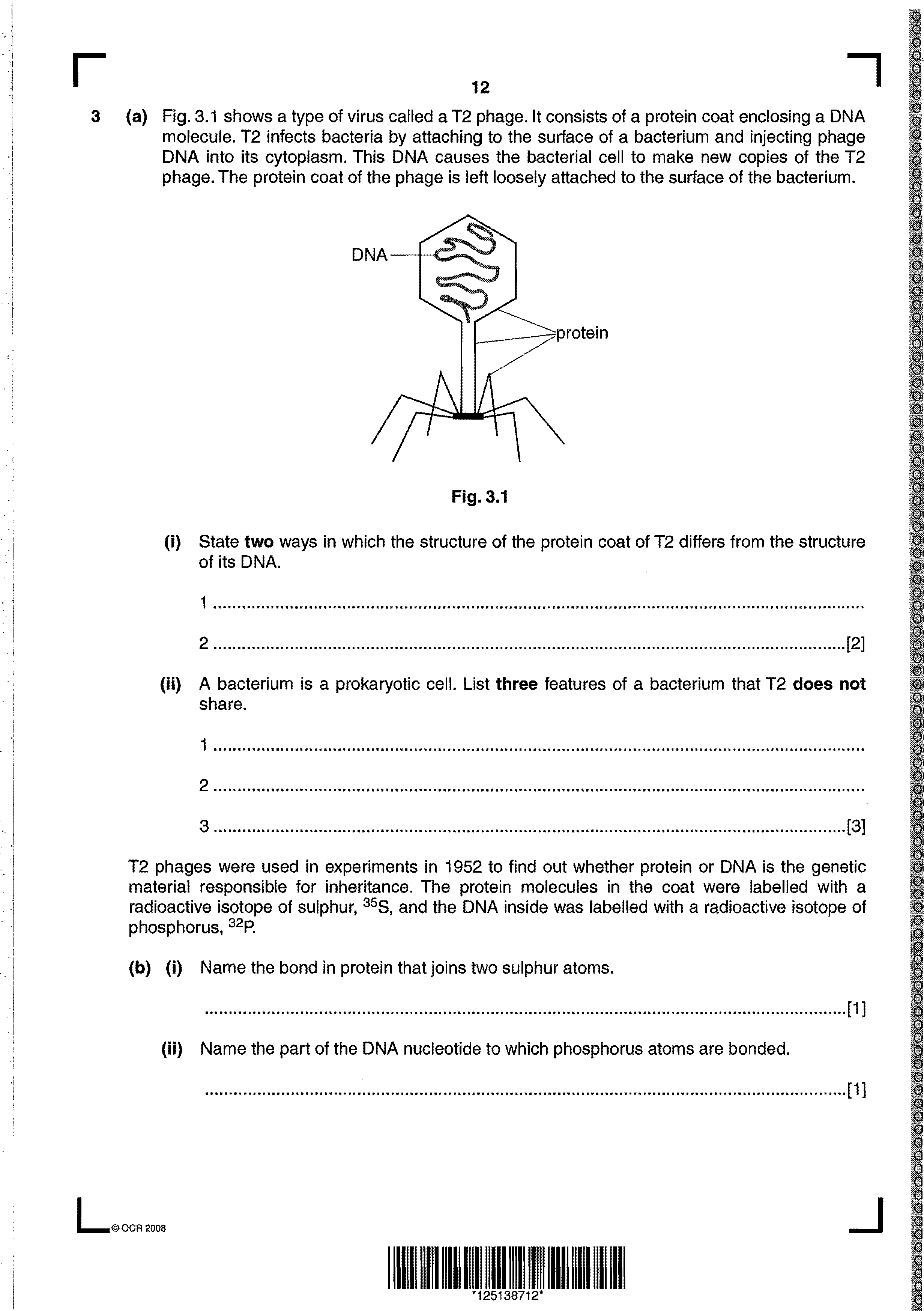 The importance of diffusion in organisms essay picture