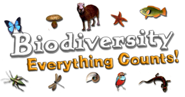Simpsons Biodiversity tips ! Questions for A-level Biology 