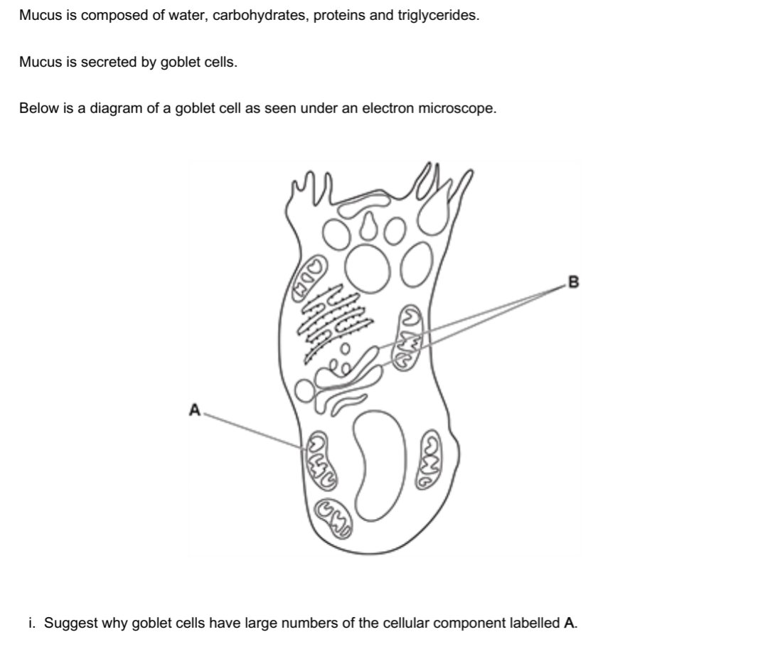 Mastering OCR A Level Biology Section 2.1.1: Cell Structure and ...
