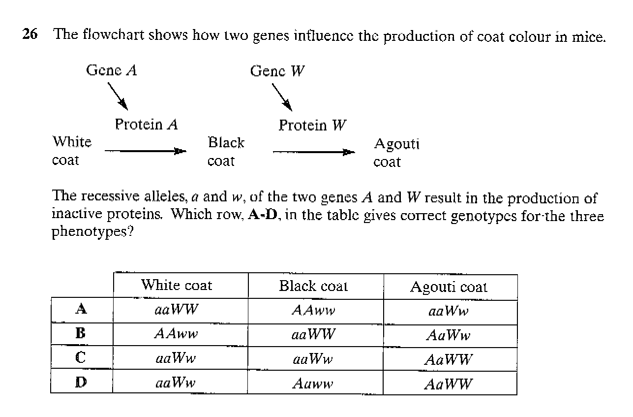 3 Genetics Multiple Choice Questions to make you think - good for OCR ...