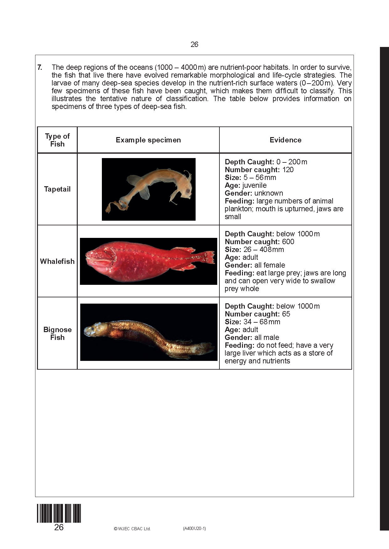 Pages from s17-8401-02_Page_1.png