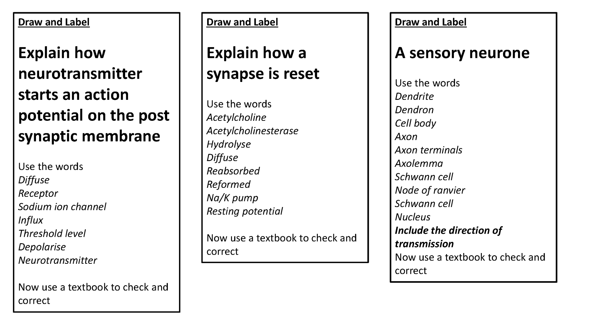 nervescards_Page_3.png
