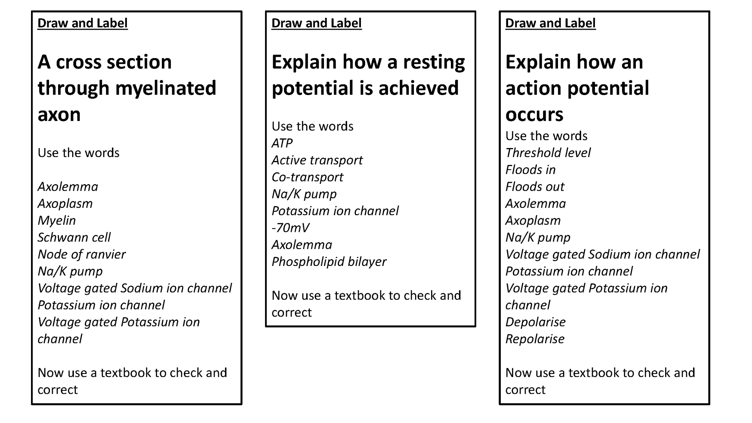 “Could you explain this to someone else ? ” Neurones, Action potentials, synapses and resting potentials - Revision and understanding through self explanation
