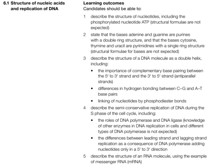 CIE Nucleic Acids and Protein Synthesis 6.1, 6.2