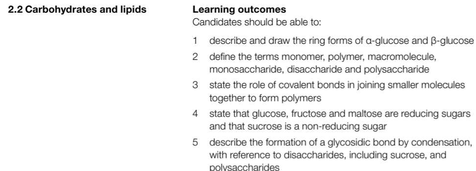 CIE Carbohydrates