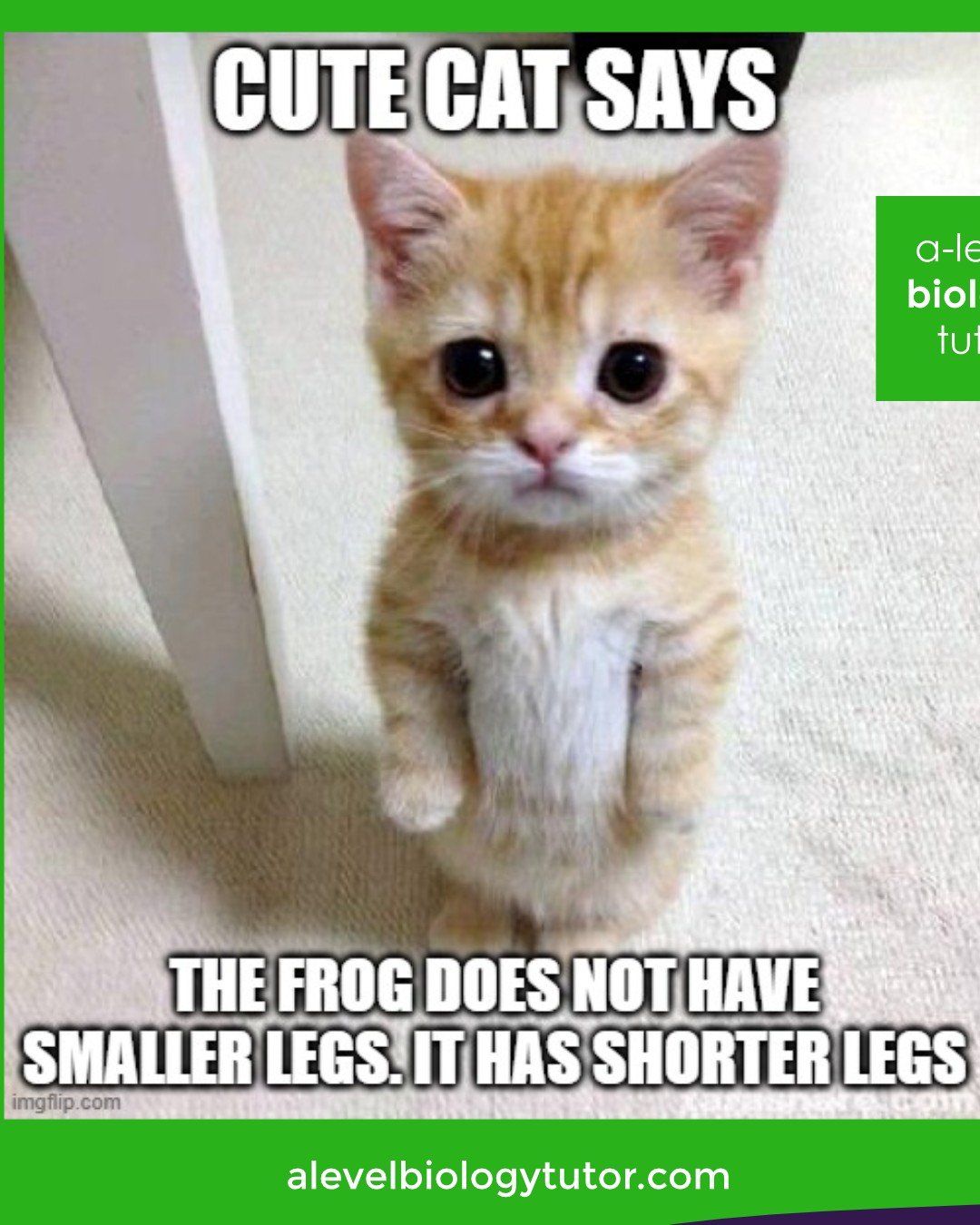 Exam tip: avoid these words in exams! Don't lose marks through poor word choice - make sure the examiner knows what you mean.

 #ALevelBiology #biologyexam 
#BiologyRevision #aqabiology #ocrbiology