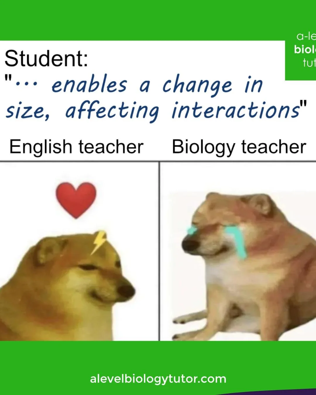 Write with clarity, using scientific language and short sentences to say exactly what you mean. Think in bullet points, making it as easy as possible for the examiner to give you marks. 

#alevelbiology #alevelbiologytutor  #alevelbiologyaqa #alevelb