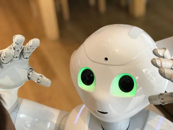 AI for A-level Biology Students