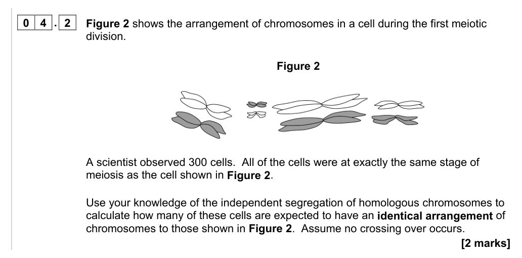 AQA Meiosis and Genetic Variation Exam Questions (A-level)