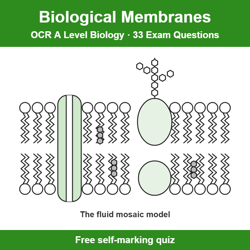 OCR A Level Biology Biological Membranes Exam Questions – 33 Question Self-Marking Quiz