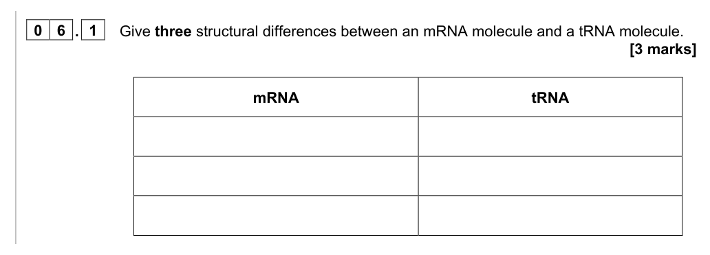 AQA Protein Synthesis Exam Questions (A-level)