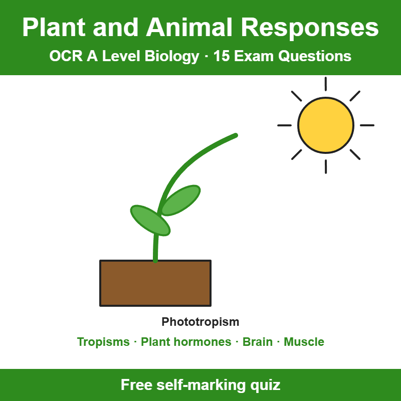 OCR A Level Biology Plant and Animal Responses Exam Questions – 15 Question Self-Marking Quiz