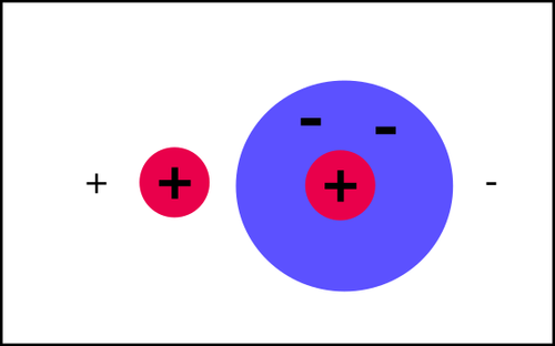 Colar Charge Polar and Charged Molecules — Online A level Biology Tutor