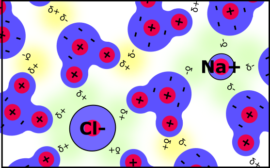 Polar and Charged Molecules — Online A level Biology Tutor