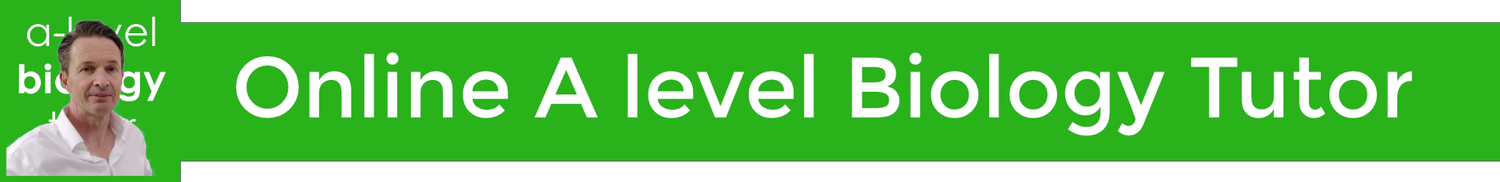  Online A level Biology Tutor