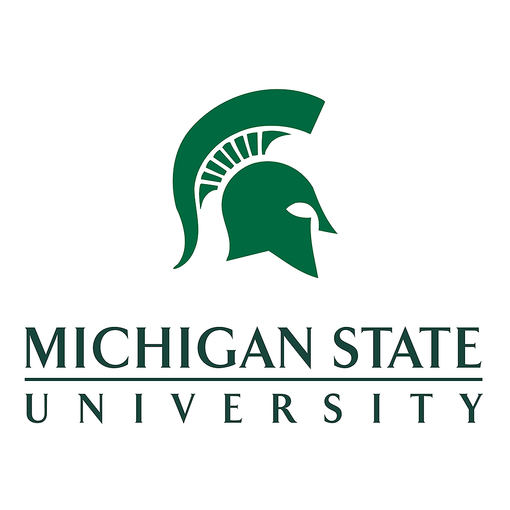 MSU.png