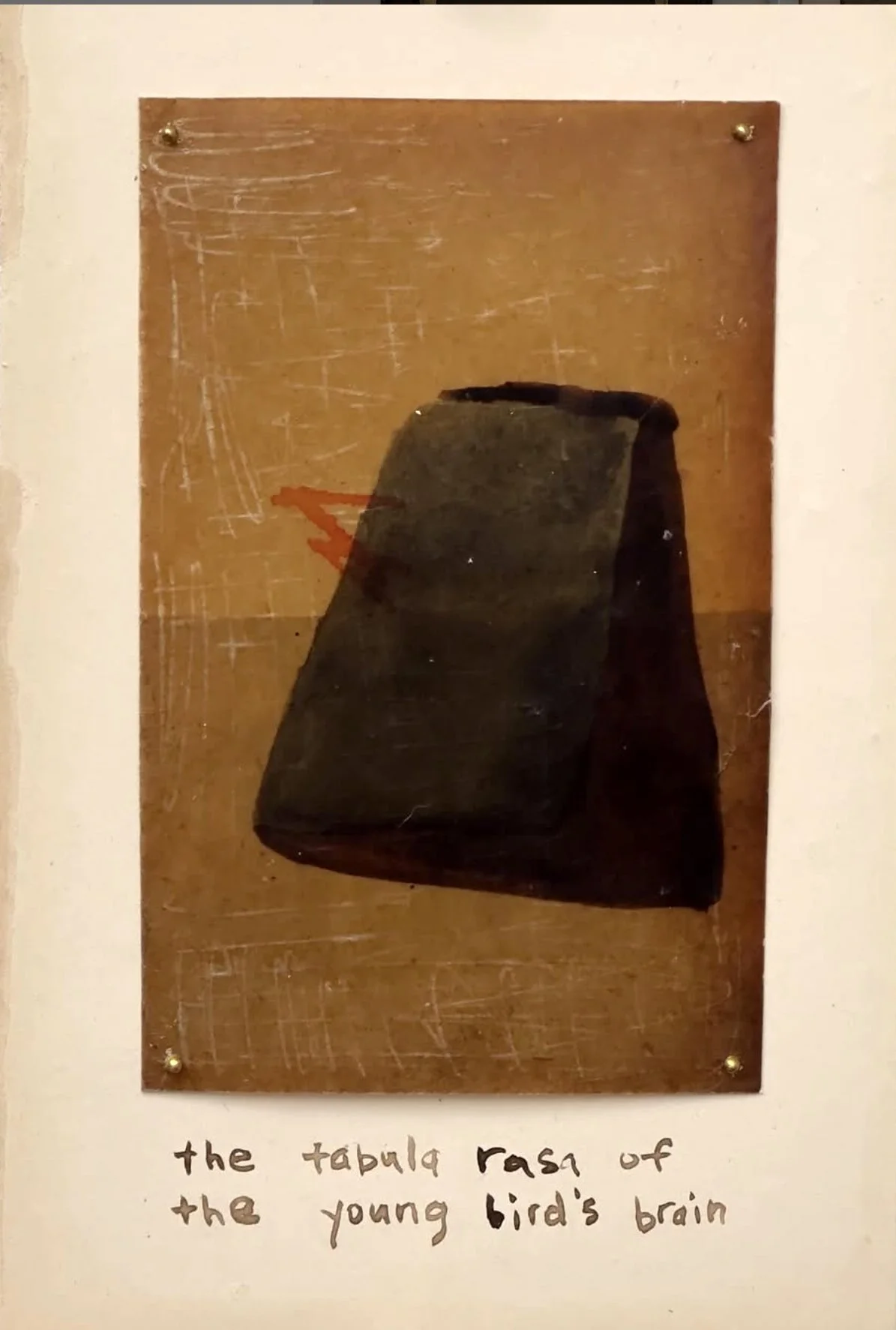 tabula rasa of the young bird's brain