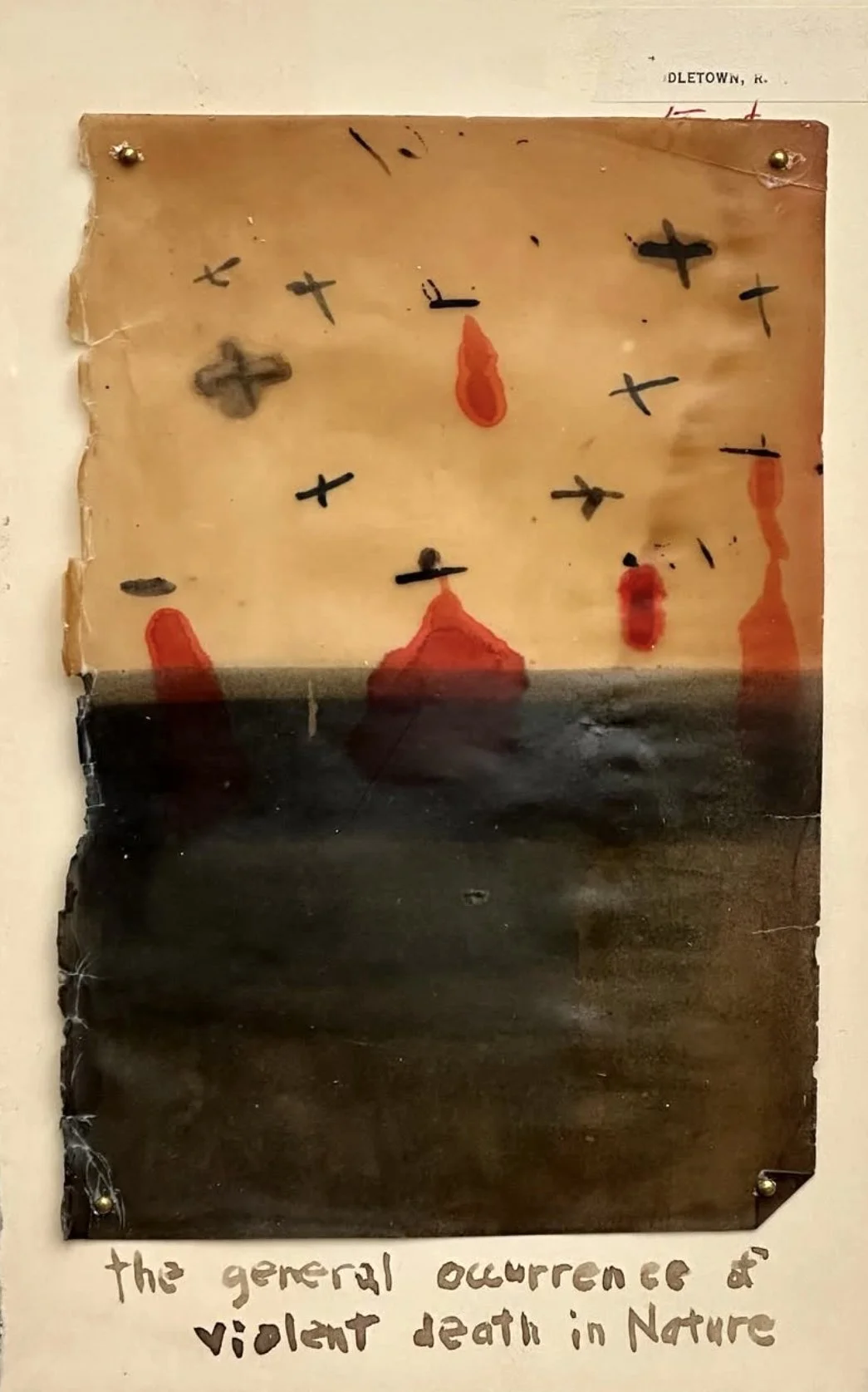 the general occurrence of violent death in nature