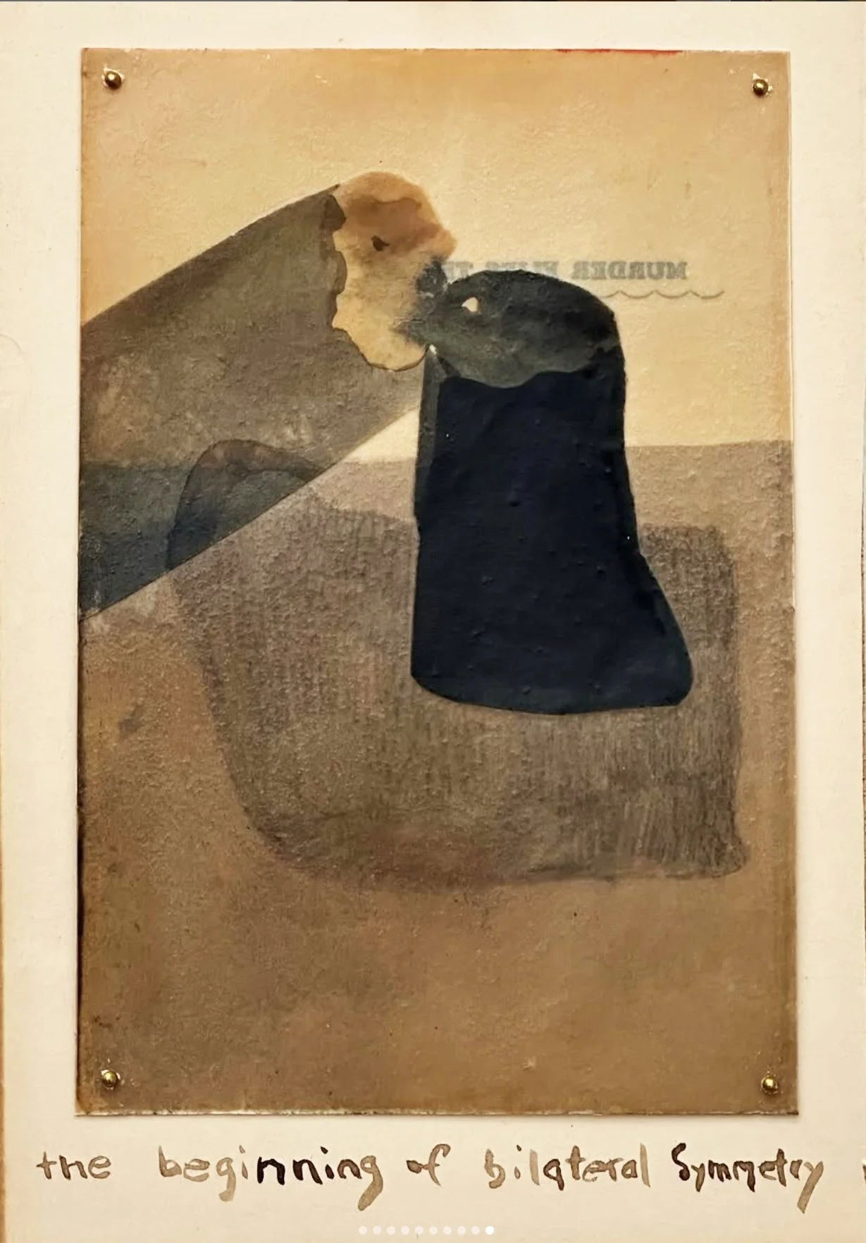 the beginning of bilateral symmetry