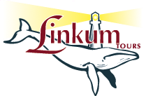 Linkum Tours