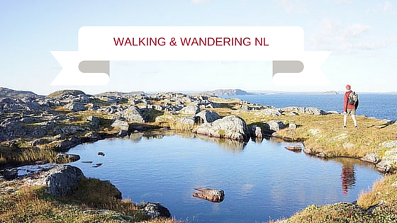 walking tours newfoundland