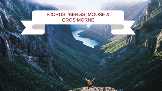 gros morne, fjords and icbergs
