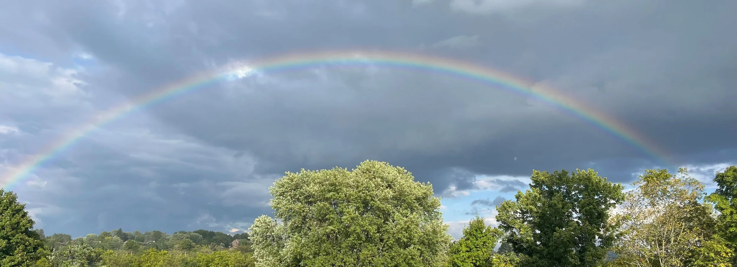 rainbow.jpg
