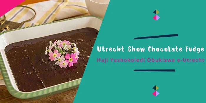 Utrecht Show Chocolate Fudge.jpg