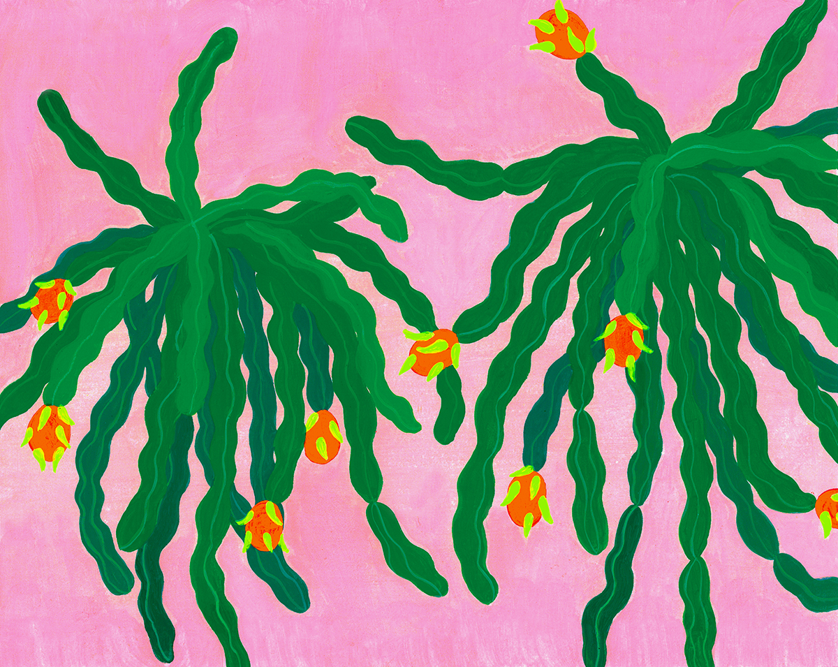   Pink PItaya   8" x 10", gouache, 2017 