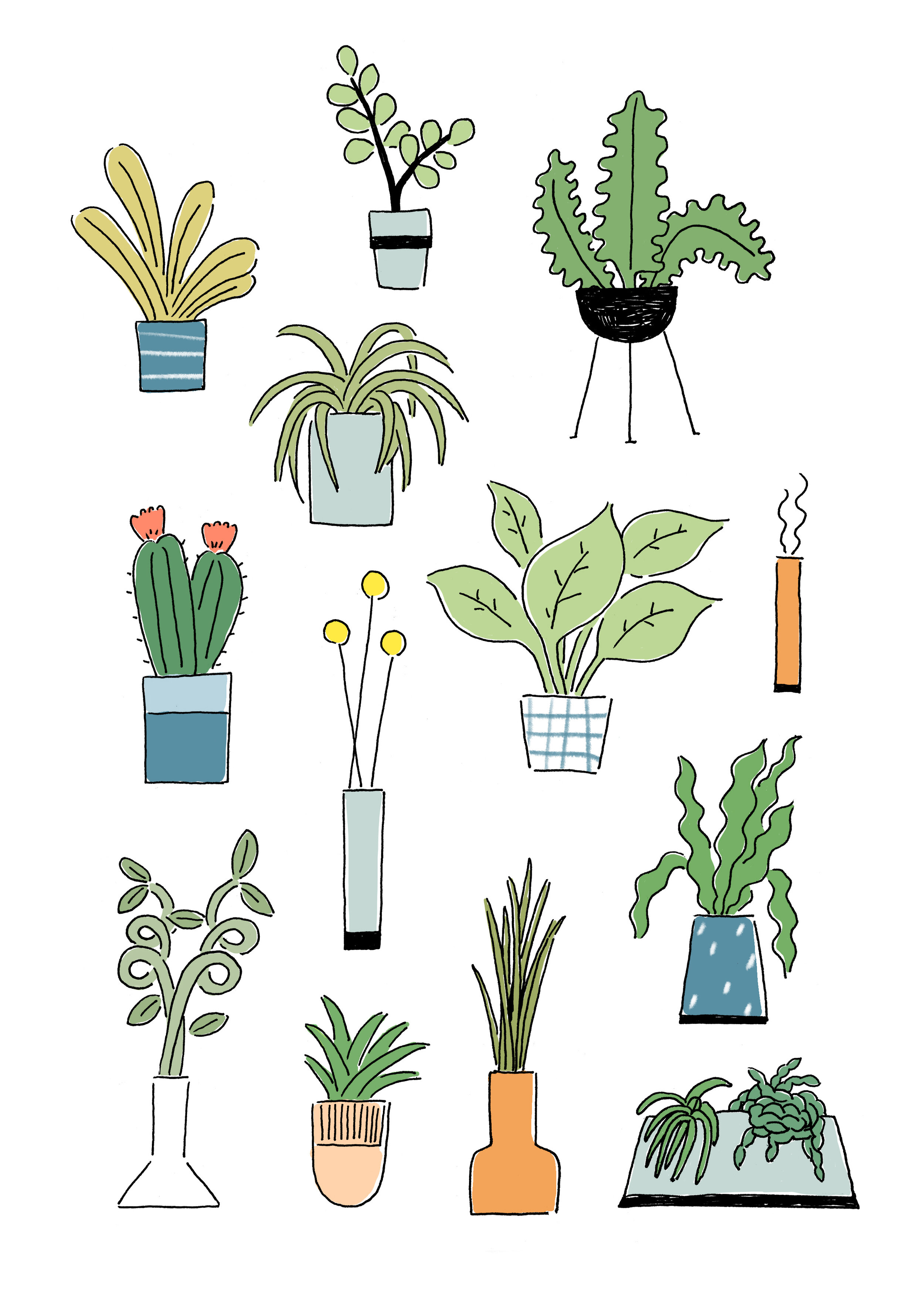 plants_1.jpg