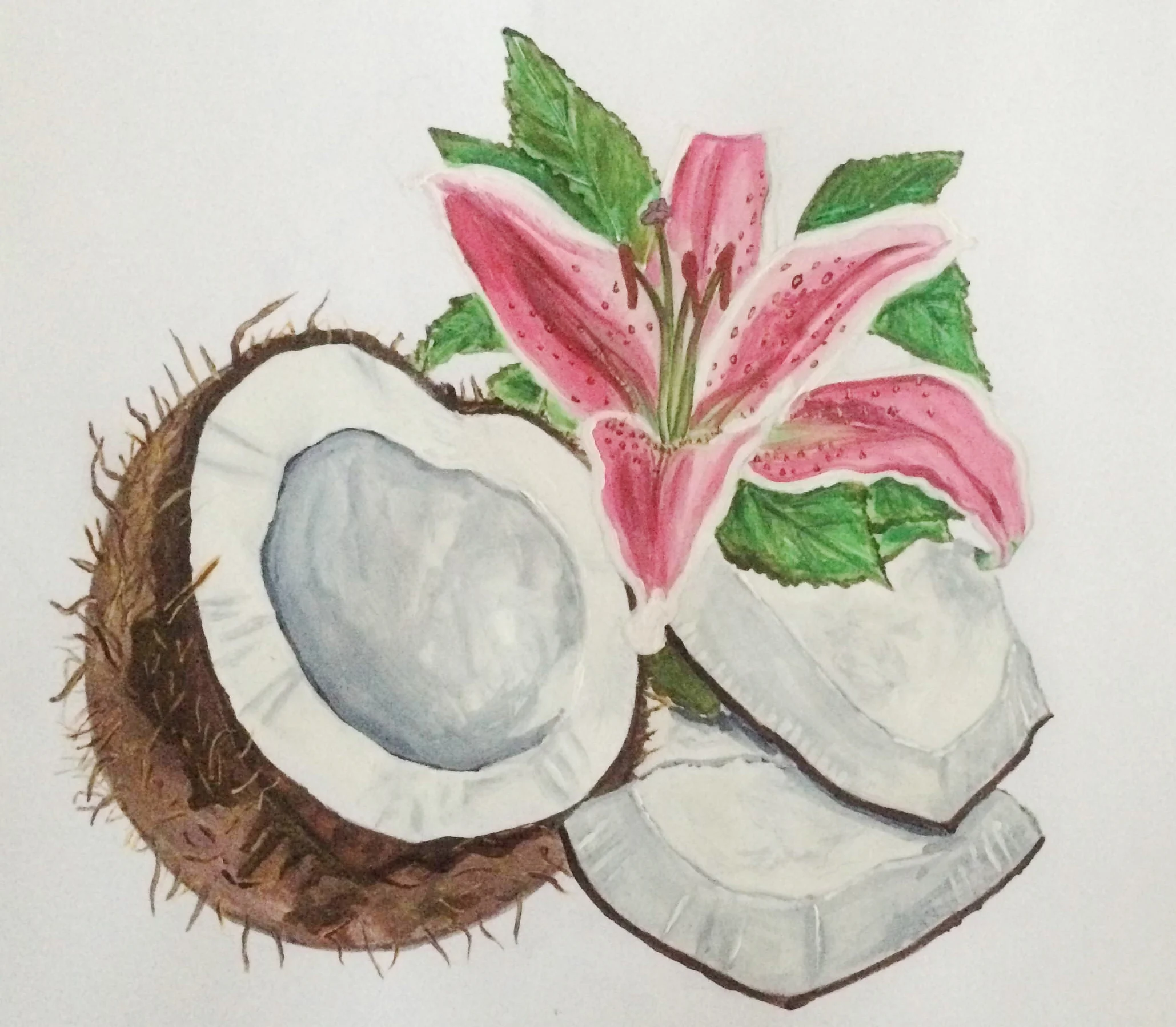 Illustration by Jocelyn Xavier