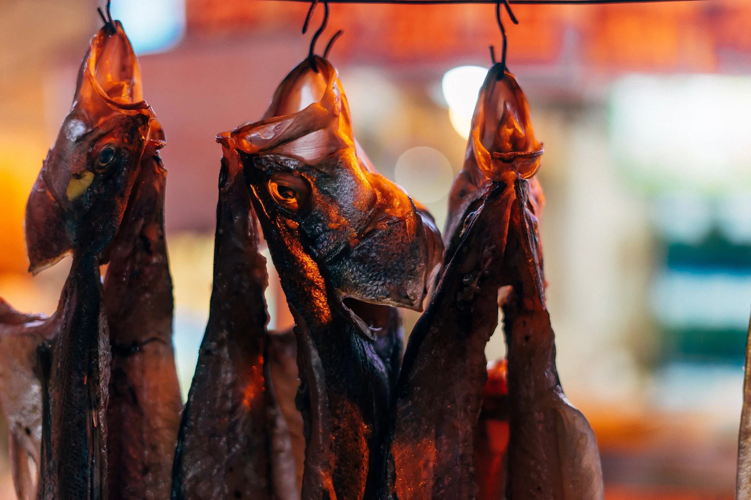 fish on the street in Qingdao, China
