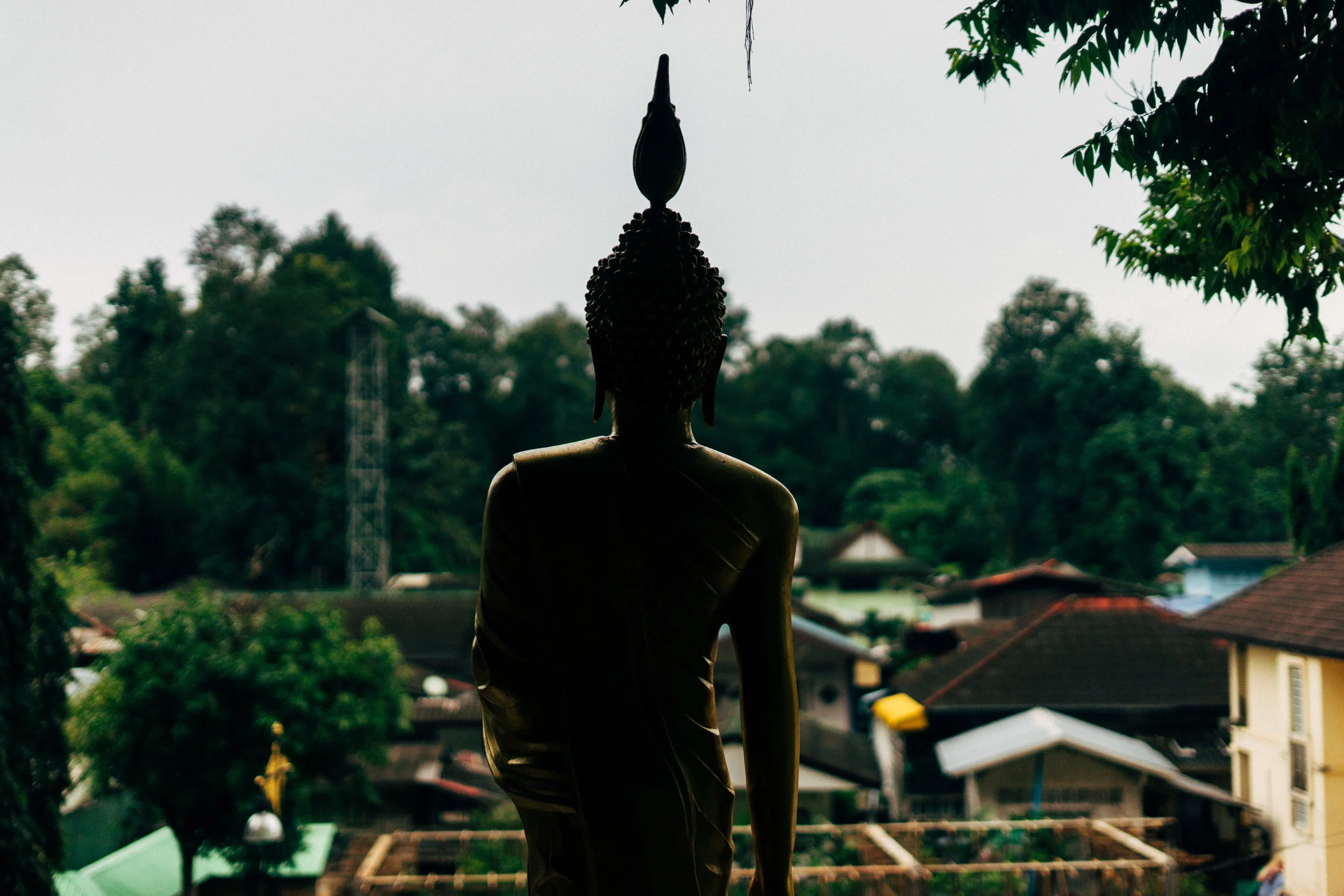 from behind a sculpture at Tiger Temple near Krabi, Thailand