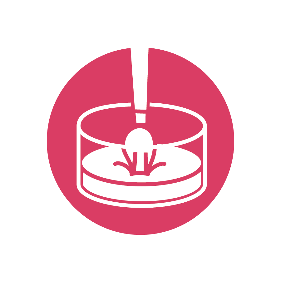 Nail_Tech-Ch011-Icon.png