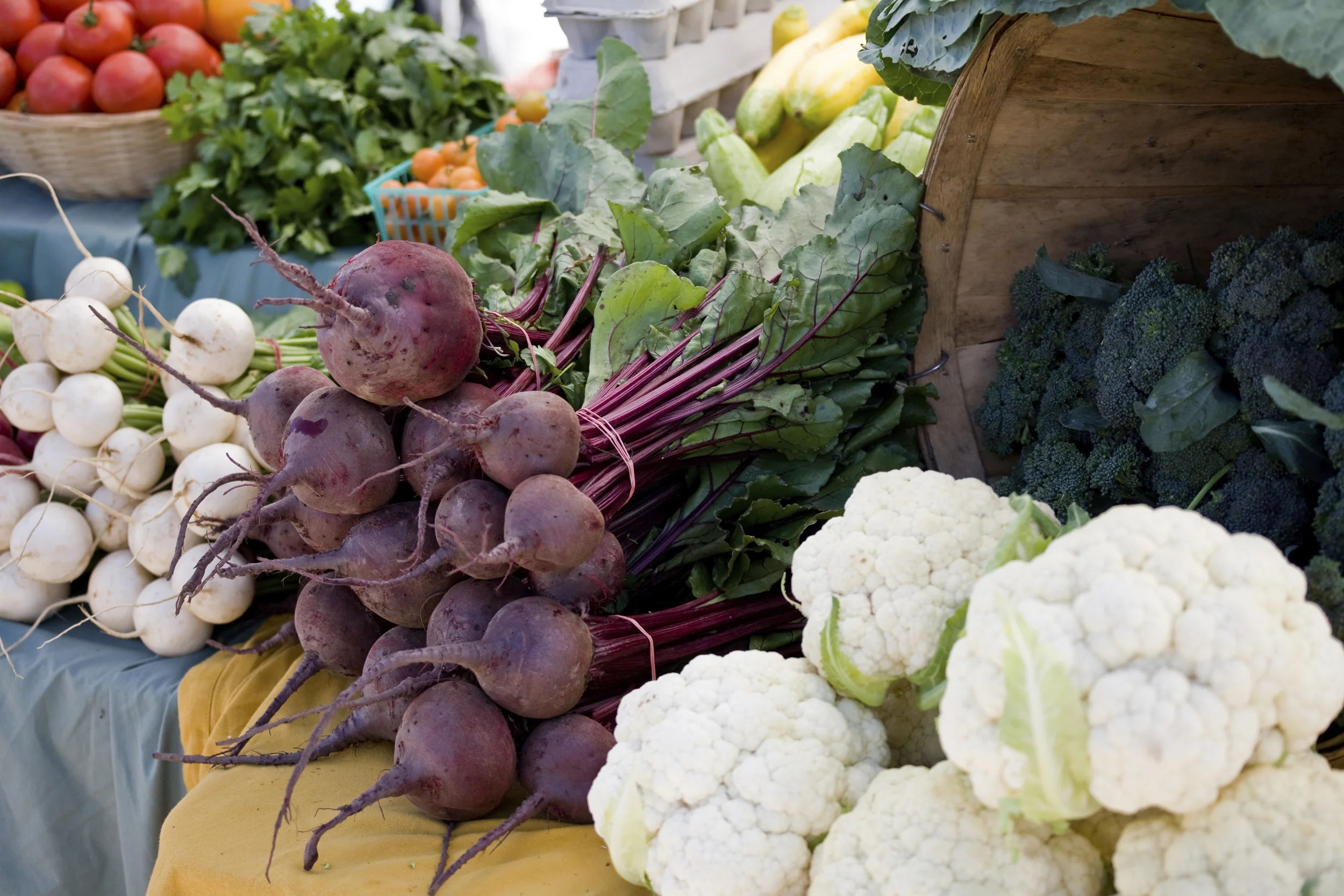 iStock_000027868242_Large.jpg