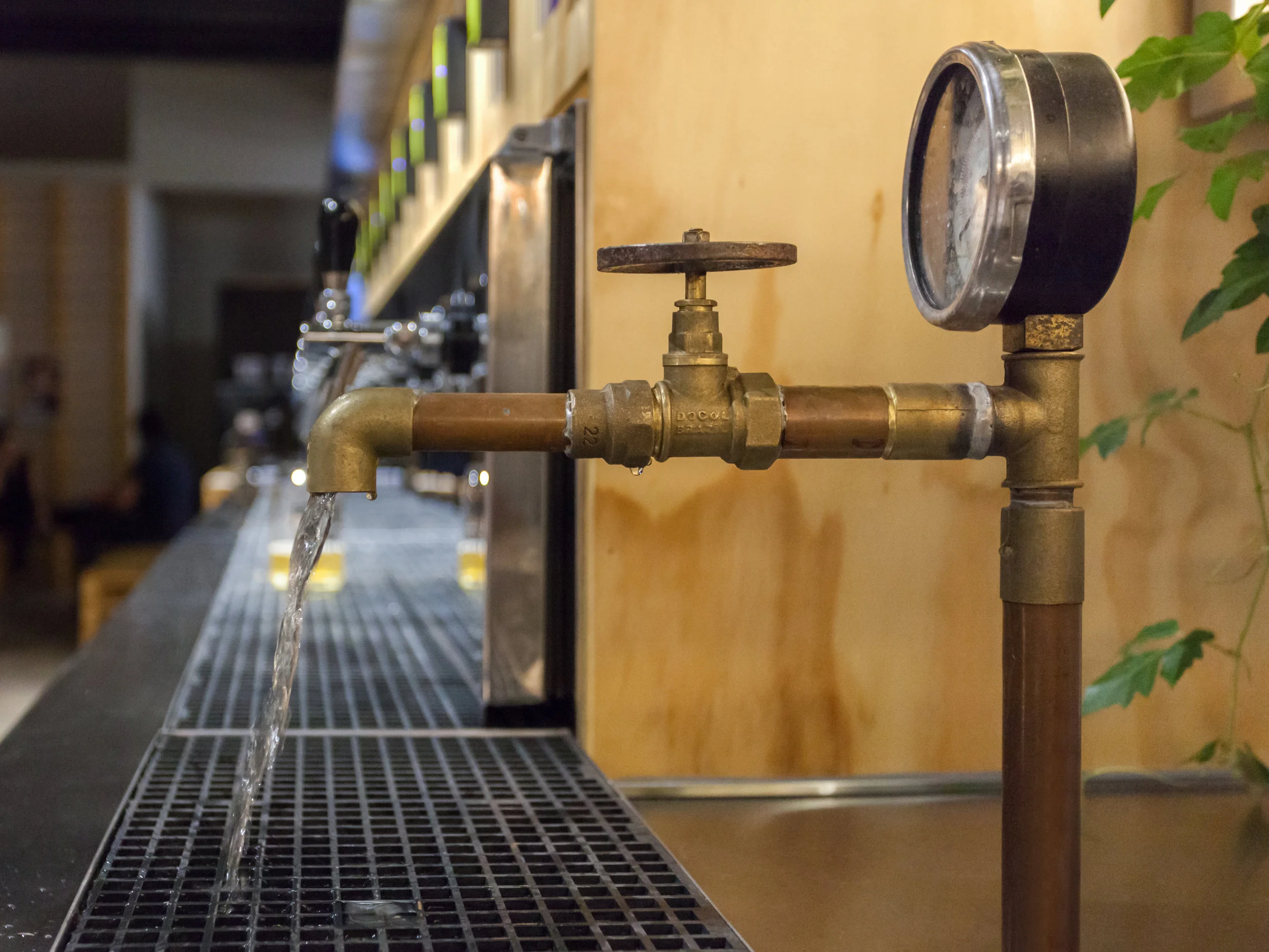 Perro Libre - Tap Room -22.jpg