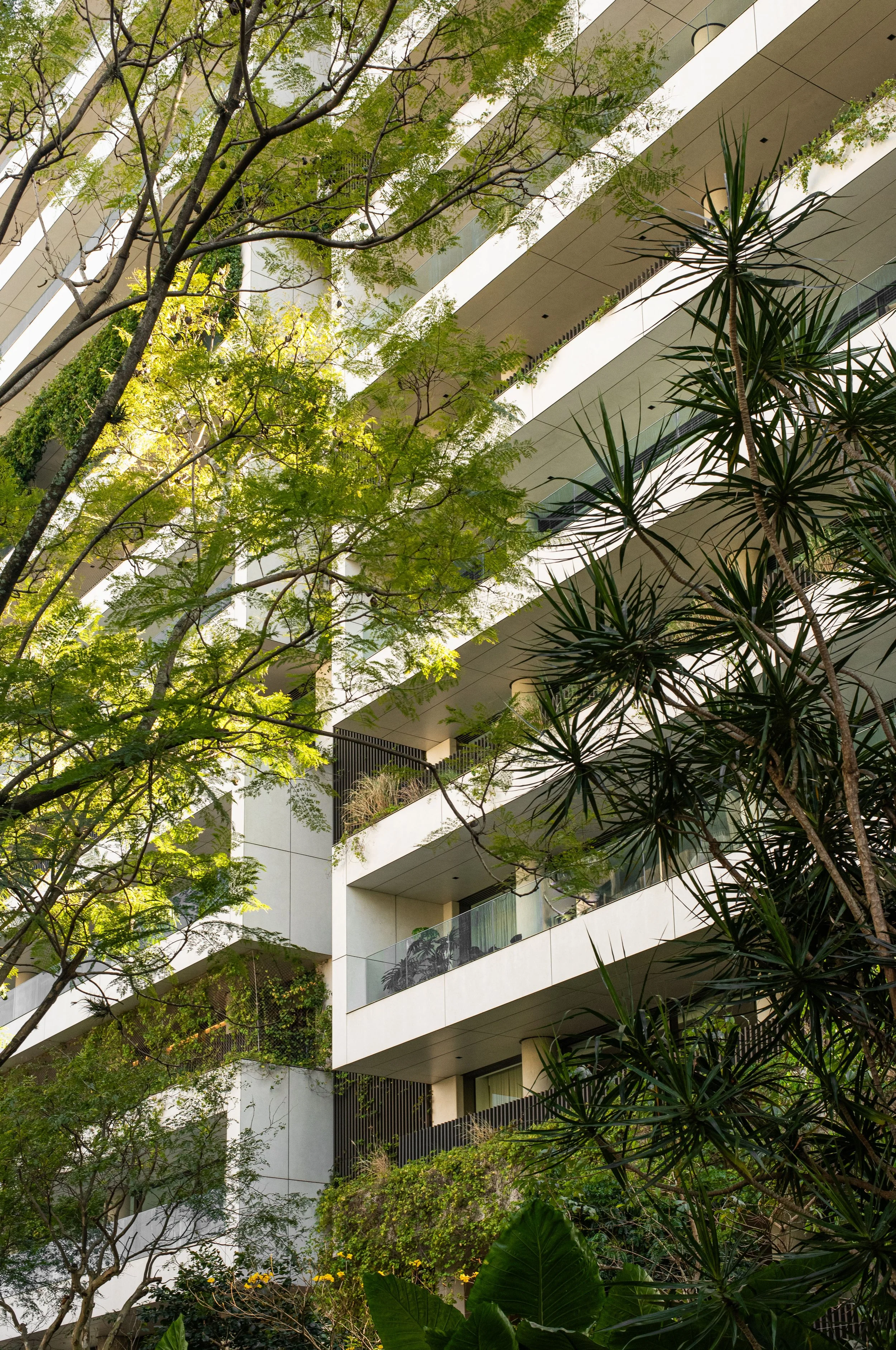 TVporLucasDaneris_ (7 de 148).jpg