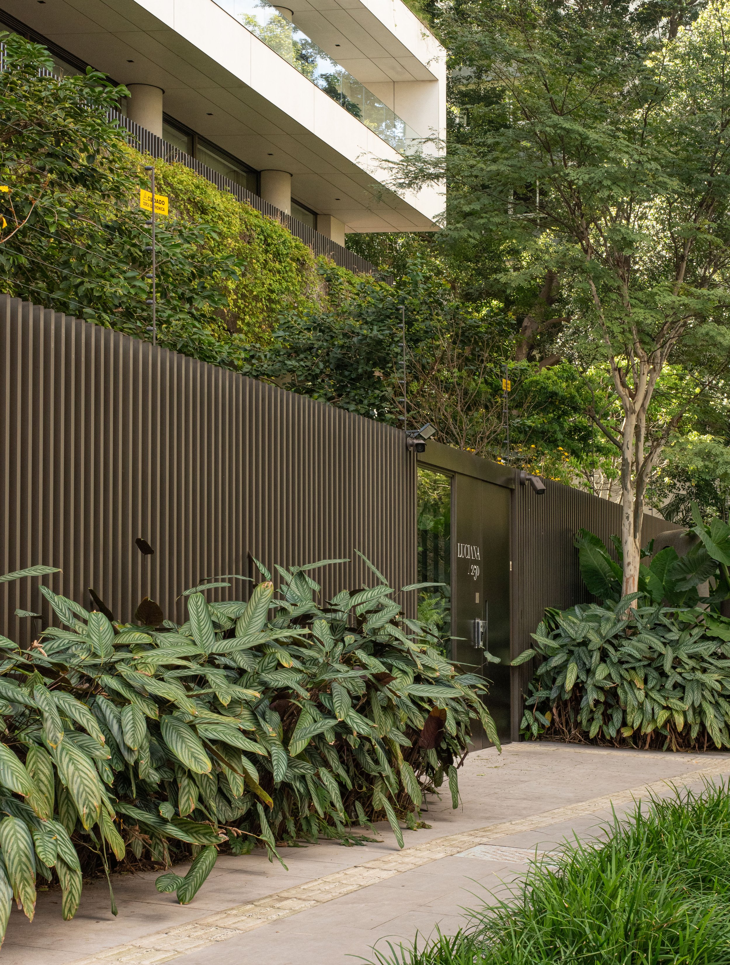 TVporLucasDaneris_ (18 de 148).jpg