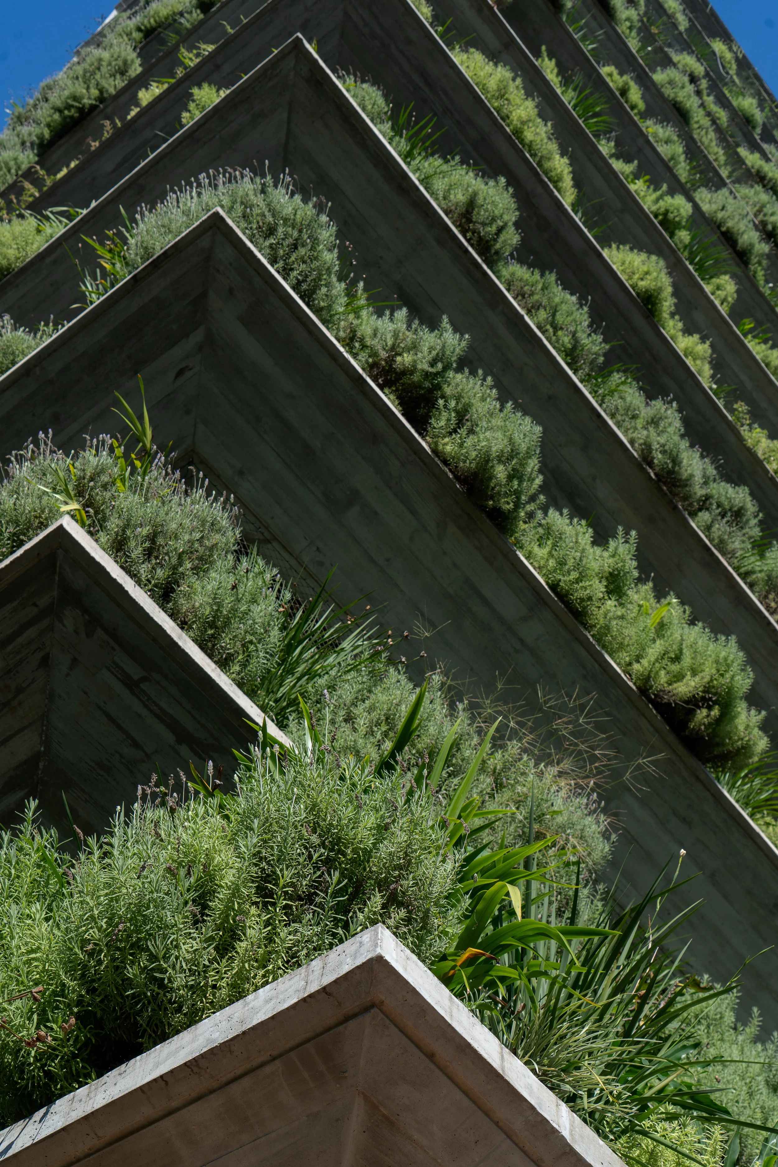 TELLINIVONTOBEL CASA VISTA (12) Casa Vista_.jpg