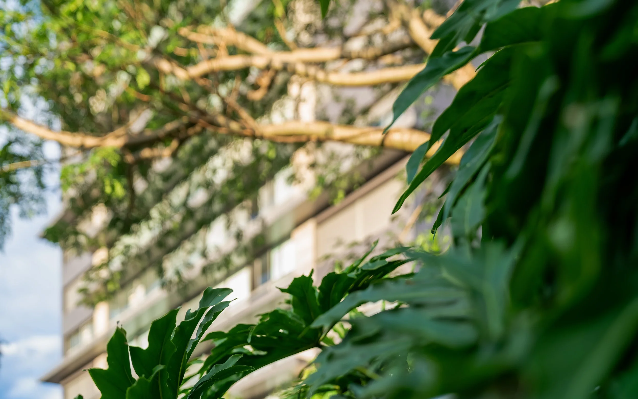 04-12-2024-Tellini Vontobel Arthur 505-_DSC8490.jpg