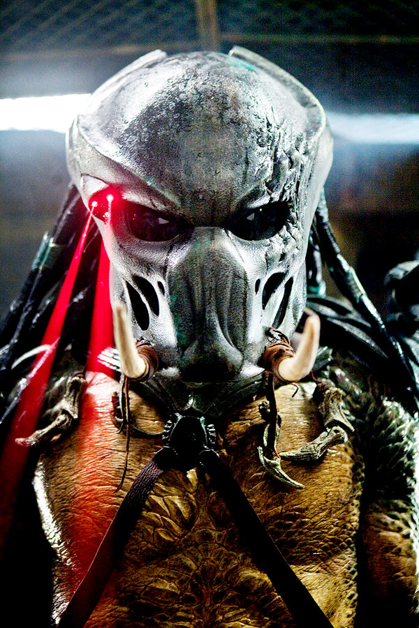 predators24.jpg