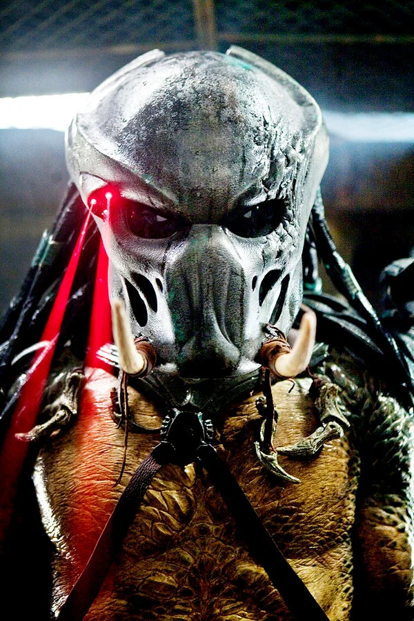 predators24.jpg